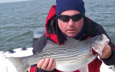 How to Catch Lake Tawakoni Hybrid Striper