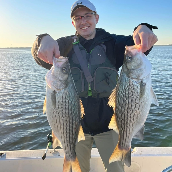 Lake Tawakoni Hybrid Striper in the summer