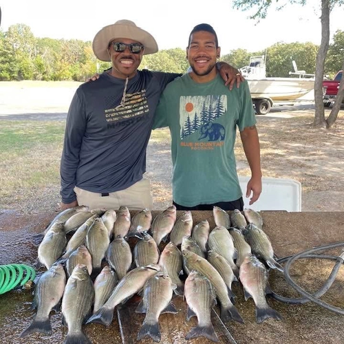 Guide to Striped Bass fishing Lake Tawakoni