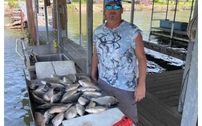 Live Bait Fishing Lake Tawakoni