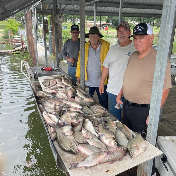 4-28-26 four man limit of White Bass on Lake Tawakoni