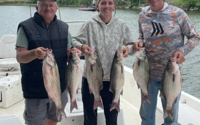 Lake Tawakoni Fishing Report – April 2026