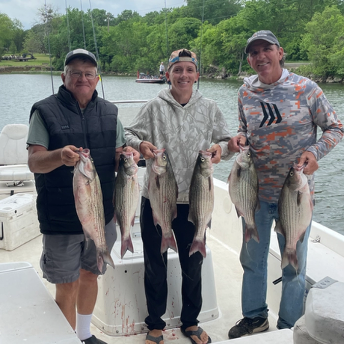 Three anglers holding a limit of white bass and hybrid striper on Lake Tawakoni fishing trip