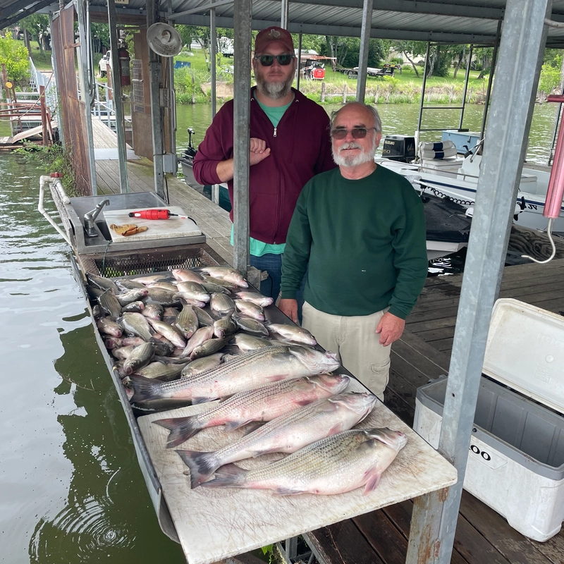 Lake Tawakoni white bass and hybrid striper catch with Cliff’s Guide Service April 2026